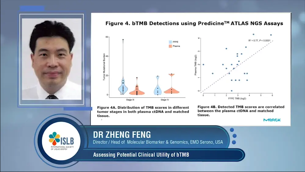 Assessing Potential Clinical Utility of bTMB